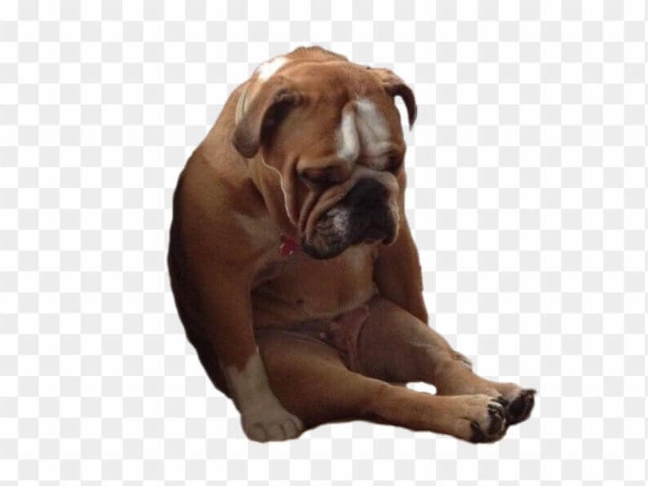 List of Video/Image Formats Supporting Alpha Channels