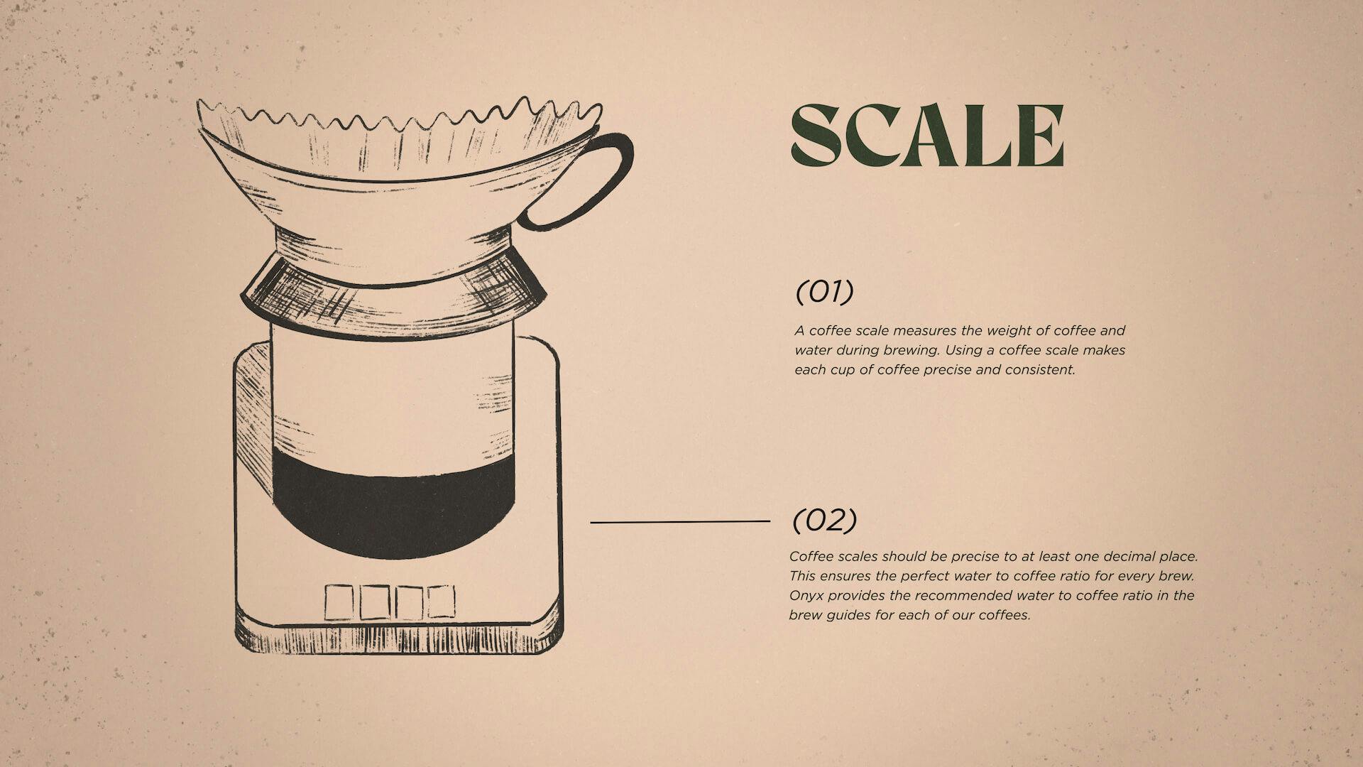 Animation frame from motion graphics piece Coffee Science for Onyx Coffee Lab
