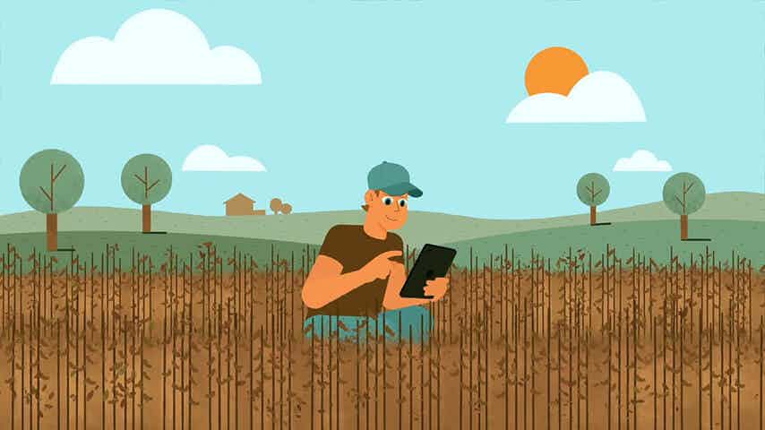 American Soybean Association Rural Broadband 2d animation