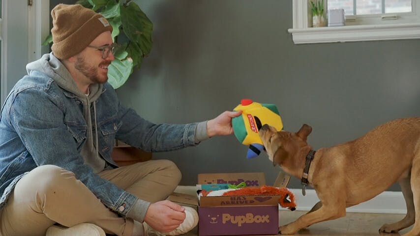 animation or video production work created for Pupbox